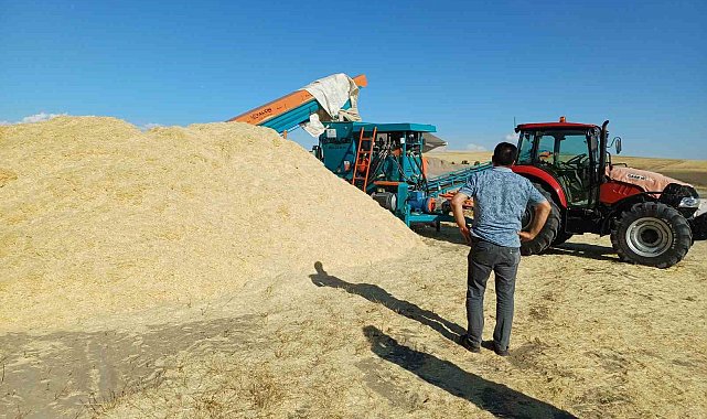 Geçen yıl tarlada çürüyen saman, bu yıl çiftçinin yüzünü güldürdü