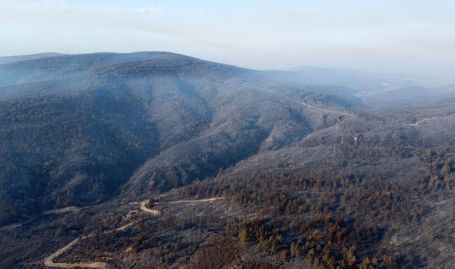 Gelibolu'da kontrol altına alınan orman yangınında yanan yerler dronla görüntülendi