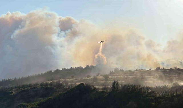 Gelibolu'da çıkan orman yangınında Yolağzı köyü tedbiren tahliye ediliyor