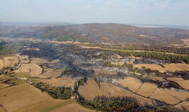 Gelibolu'da çıkan orman yangınının verdiği tahribat dron ile görüntülendi