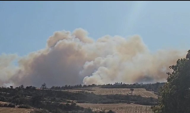Gelibolu'da orman yangınına havadan ve karadan müdahale ediliyor