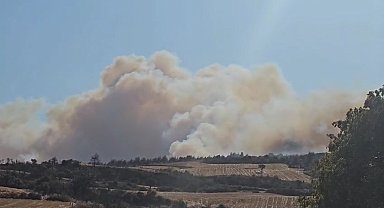 Gelibolu'da orman yangınına havadan ve karadan müdahale ediliyor