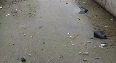 Gemlik körfezi çöplüğe döndü