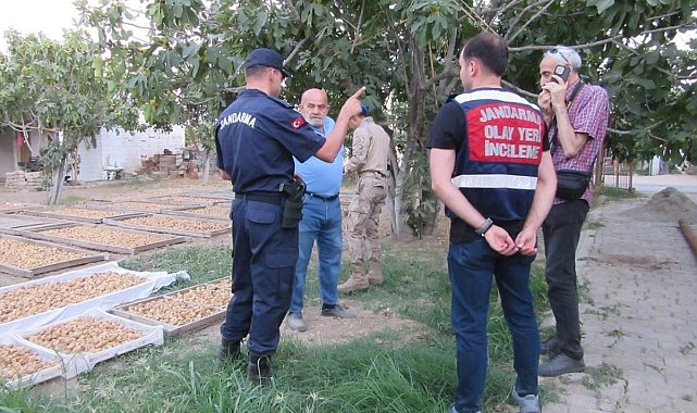 Germencik'te incir hırsızlığına karşı jandarmadan sıkı denetim
