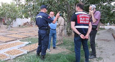 Germencik'te incir hırsızlığına karşı jandarmadan sıkı denetim