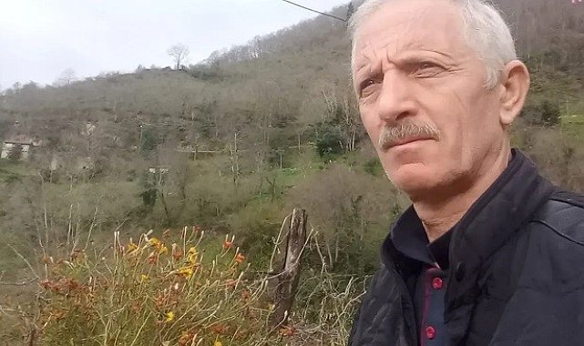 Giresun'da armut ağacından düşen adam öldü