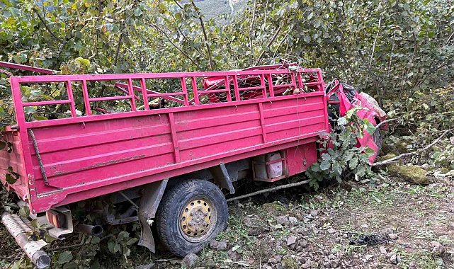 Giresun'da kamyonet fındık bahçesine yuvarlandı: 4 ölü, 1 yaralı