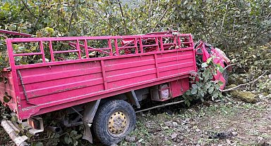 Giresun'da kamyonet fındık bahçesine yuvarlandı: 4 ölü, 1 yaralı