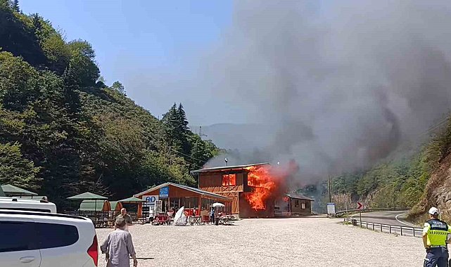 Giresun'un gözde tabiat parkında yangın felaketi
