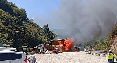 Giresun'un gözde tabiat parkında yangın felaketi