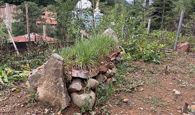 Giresun'un manevi değerlerinden Hacı İlyas'ın mezarının türbeye dönüşmesi isteniyor