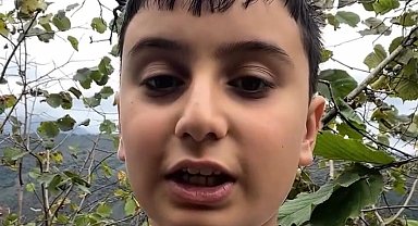 Giresunlu küçük Talha fındığını Gazze için topluyor