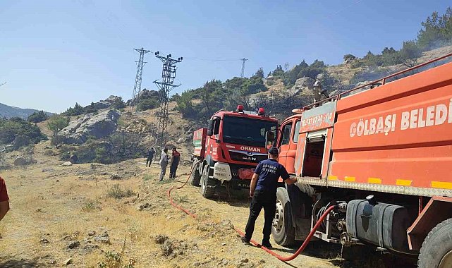 Gölbaşı'nda orman yangını