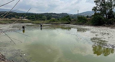 Gölette can çekişen onlarca balık kurtarıldı