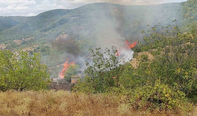 Gönen'de bahçe ve arazi yangını paniğe neden oldu