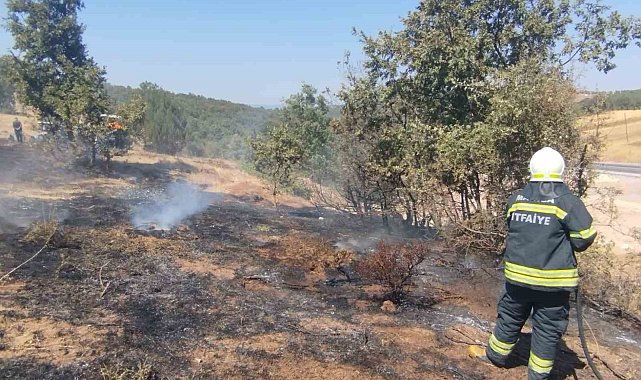 Gördes'te arazi yangını büyümeden söndürüldü