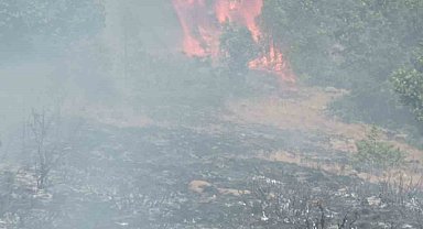 Gümüşhane'de çobanın yaktığı ateş yangına sebep oldu