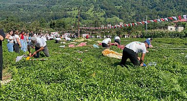 Güneyden Antep'in zılgıtı ve kuzeyden Artvin'in tulum sesi çaylıkta buluştu
