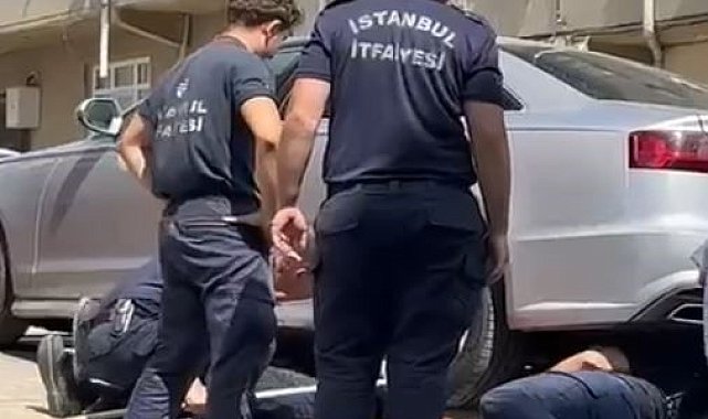 Gurbetçi aileye dönüş zamanı kedi sürprizi