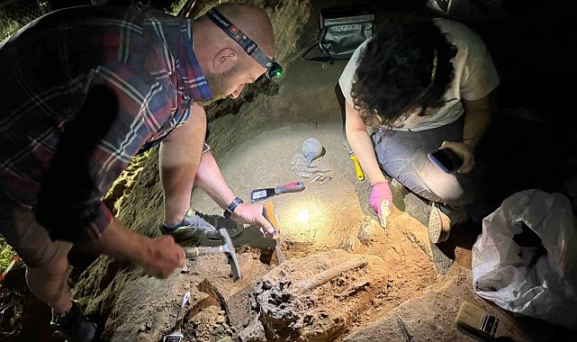 Gürcistan'da 1,8 milyon yıllık bir alt çene kemiği bulundu