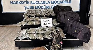 Hakkâri'de kamyonette 26 kilogram skunk ele geçirildi: 1 şüpheli tutuklandı