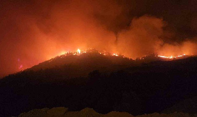Hassa'da çıkan yangında iki mahallede toplam 540 kişi tahliye edildi