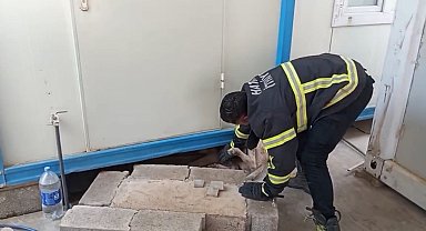 Hatay'da konteynerin altına sıkışan köpek kurtarıldı