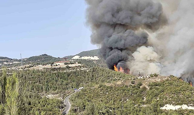 Hatay'da orman yangını