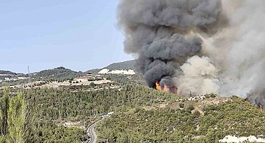 Hatay'da orman yangını