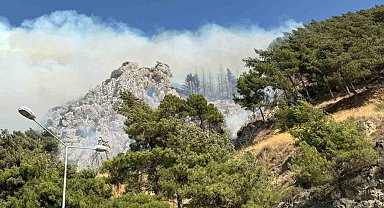 Hatay'da orman yangını