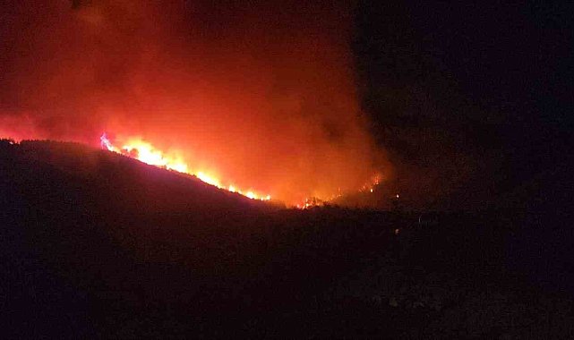 Hatay'da orman yangınının etkili olduğu bölgede evler tahliye ediliyor