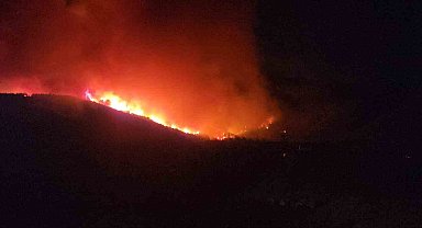 Hatay'da orman yangınının etkili olduğu bölgede evler tahliye ediliyor