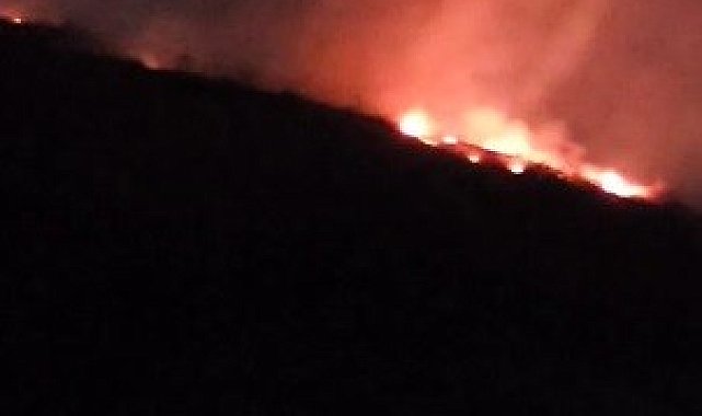 Hatay'da ormanlık alanda çıkan yangın büyümeden söndürüldü