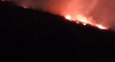 Hatay'da ormanlık alanda çıkan yangın büyümeden söndürüldü