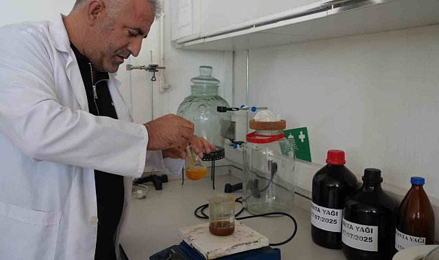 Iğdır Üniversitesi'nde üretildi: Cilt kanserine neden olan lekelerde bile etkili