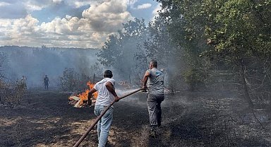 İğneada'da çıkan orman yangını söndürüldü