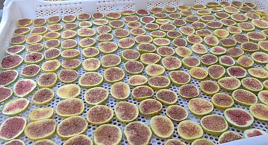 İncir cipsi sofraların yeni gözdesi oldu