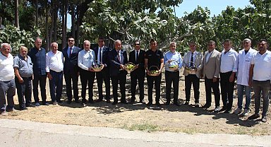 İncirliova'da protokol üyeleri incir hasadına katıldı