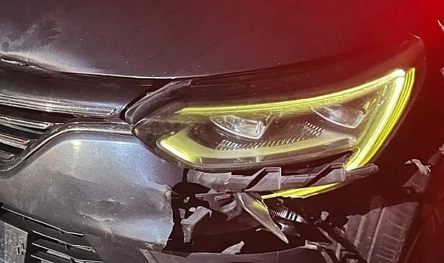 İnegöl'de otomobilin çarptığı ayı telef oldu