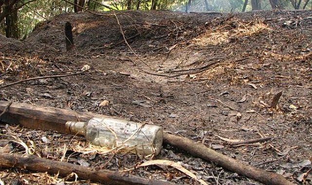 İspanya 14 farklı noktada orman yangını: 7 ölü