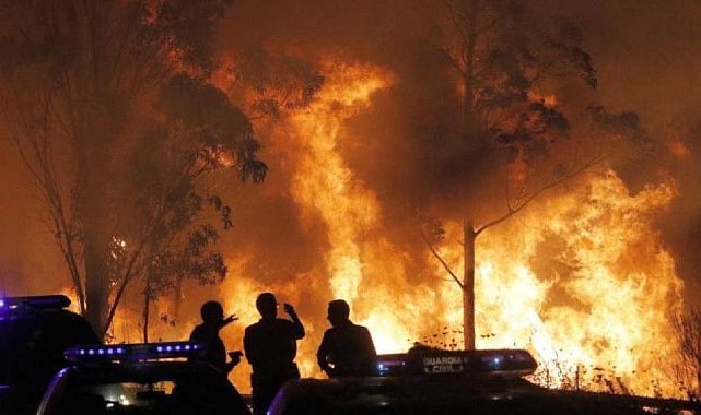 İspanya'da orman yangını: 1 kişi öldü, bin hektardan fazla alan kül oldu
