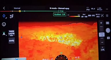 Isparta'da çıkan orman yangını büyümeden söndürüldü