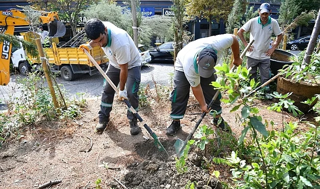 İstanbul Beylikdüzü daha da yeşil olacak