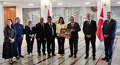 İstanbul ile Cakarta arasında çevresel iş birliği