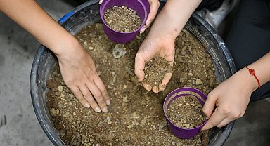 İzmir Bornova'da tohumdan umuda