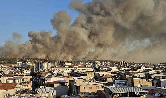 İzmir Buca'da orman yangını