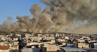İzmir Buca'da orman yangını