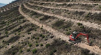 İzmir Foça yeniden yeşermeye hazırlanıyor