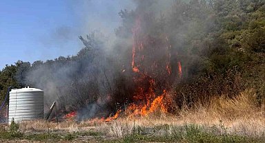 İzmir Menderes'te orman yangını