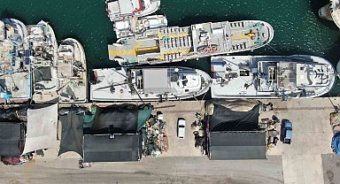 İzmir'de deniz kirliliği balığı vurdu: Sardalyasız sezon kapıda